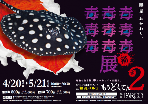 もうどく展2